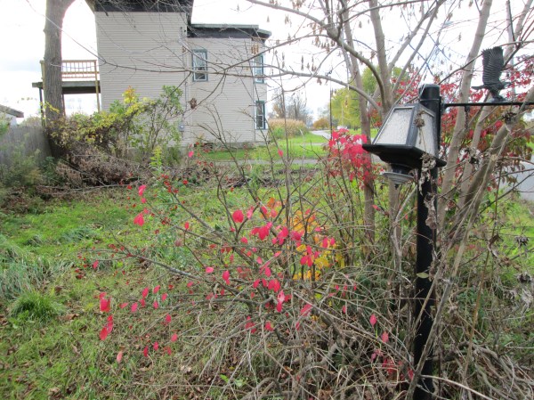A sidewalk lamp, no longer needed.