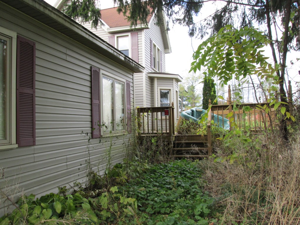 The side of our neighbor's house.  Yup, that's a hot tub on the deck.