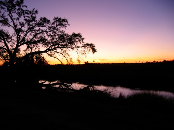 Sunset at one of the most beautiful places on earth:  St. Marks National Wildlife Refuge 