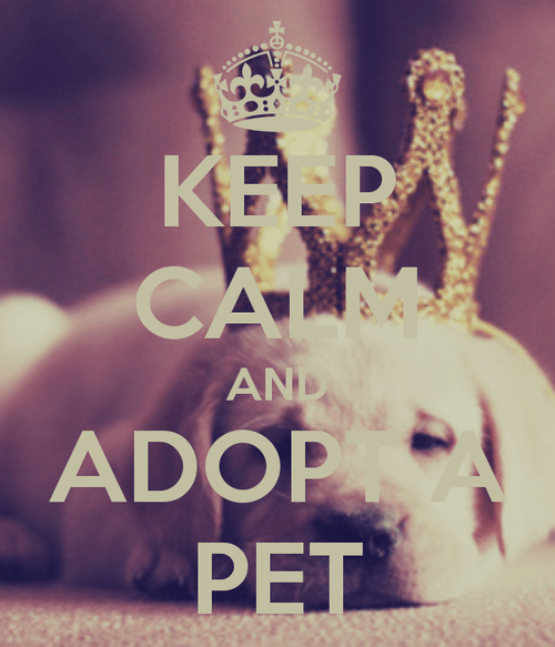 PetAdoptionAd