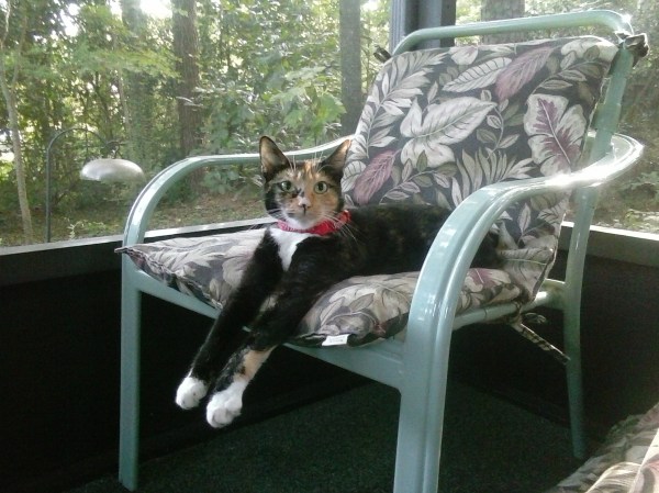 Wendy stretching her legs.