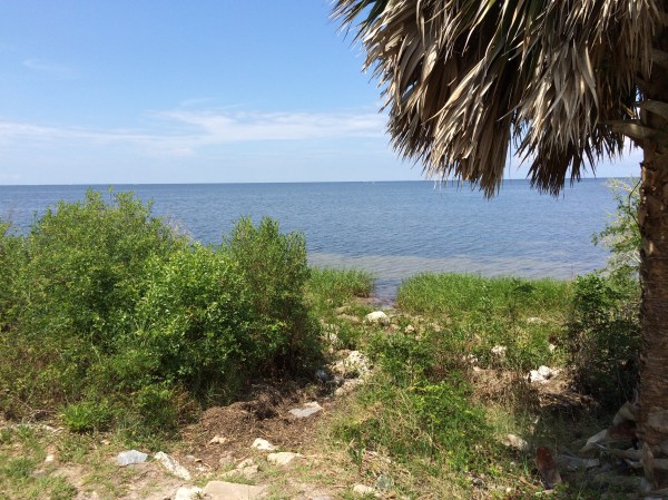 On our way to the beach at St. Marks National Wildlife Refuge