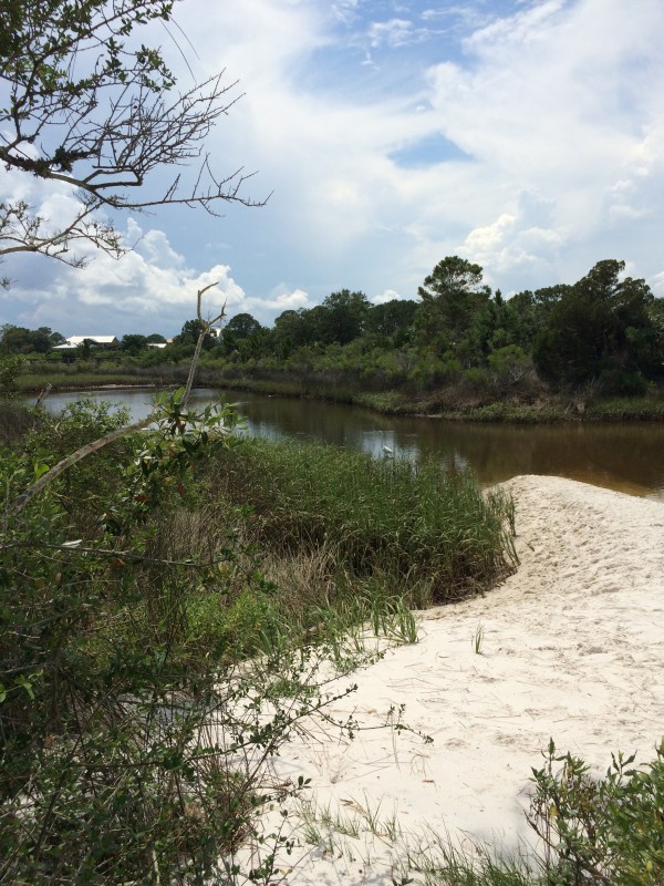 Squint and you might see a white egret.