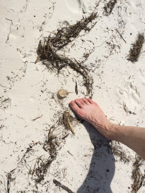 And with my husband's foot for perspective :-)