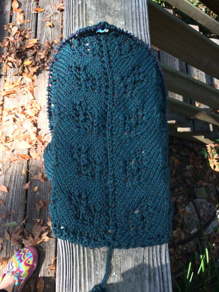 The beginnings of a shawl for a relative who lives in a cooler clime than I do. 