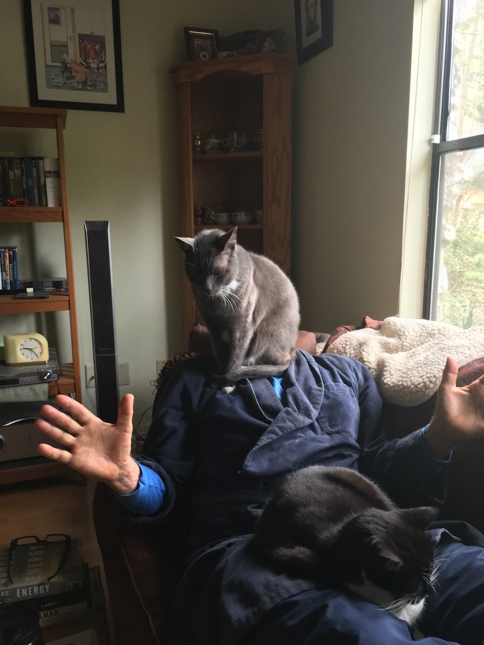 Man in dark blue bathrobe lying on a couch with a black and white cat lying along his legs and a gray and white cat sitting on his chest, blocking his face from the camera. 