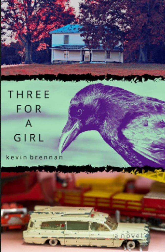 Book cover in thirds. House at top third, crow in the middle, and Cadillac ambulance at bottom.